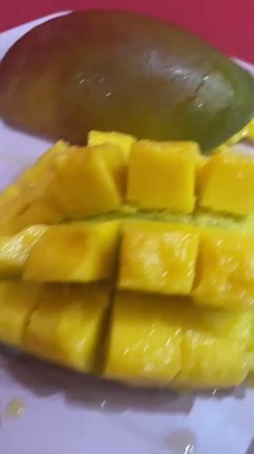 Fresh mango, scored and ready to eat, Yerevan