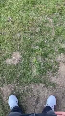A video shows a person standing in a grassy yard. They are wearing white shoes. The camera pans to show a Rottweiler dog lying on the grass, chewing on some sticks. The dog has a silver chain collar and looks up at the camera. There is a fence and some miscellaneous items in the background.
