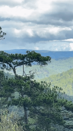 Mountain scenery and resting dog captured in Da Lat