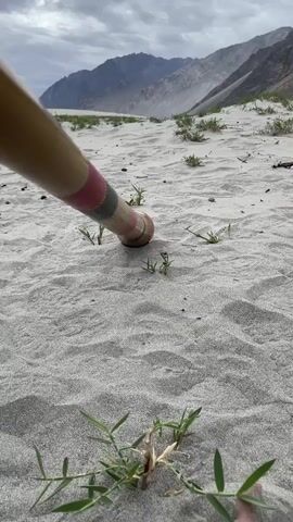 A close-up shot shows the end of a wooden stick with red and black stripes being lowered into pale sand. Sparse green grass sprouts from the sand in the foreground and background. In the distance, rugged, barren mountains rise under a cloudy, overcast sky. The camera angle is low to the ground, emphasizing the texture of the sand. The stick appears to be touching the ground or being gently placed down. There are no people visible.