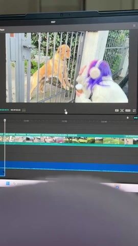 A computer screen displays a video editing program. The video preview shows a woman with purple and pink hair, wearing a white sweater, interacting with a golden retriever that is standing on its hind legs against a gray metal gate. The woman is holding a cup. The video editing software has a timeline with various video clips. The cursor is positioned above the timeline. The screen is on a gray surface. The top of someone's head is visible in the foreground.