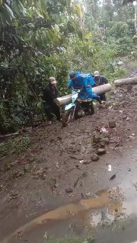 The video depicts three men maneuvering a motorcycle through a muddy, wooded path. The rider, clad in a blue poncho, straddles the motorcycle, while the other two men, one wearing a cap and the other with a hat, assist by pushing and pulling. A large, cylindrical object, presumably a log or pipe, is strapped across the back of the motorcycle. The ground is a thick layer of mud, interspersed with rocks and debris, reflecting the rainy conditions. Lush green trees and foliage surround the path, forming a dense forest backdrop.