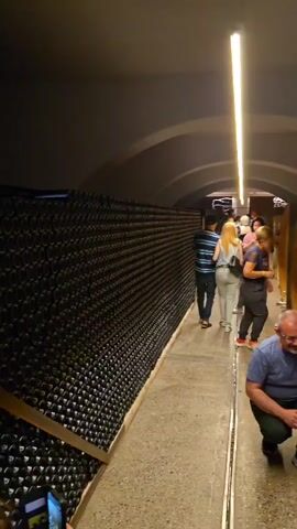 The video shows a wine cellar with a vaulted ceiling lit by a fluorescent light. On one side of the concrete walkway, there's a wall stacked with wine bottles. On the other side, several large, light-colored wooden barrels are visible. A man is crouched next to one of the barrels, smiling at the camera.  A group of people is walking down the path away from the camera, past the crouched man. The barrels have dark bands around them and are labeled "Meizi i Zanave AGROTURIZEM".
