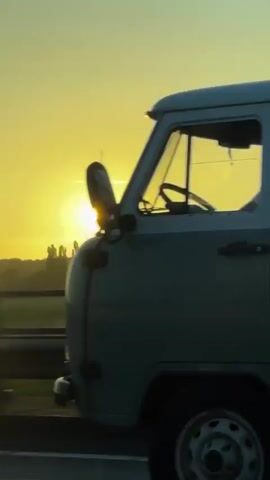 The video shows a sunset over a rural landscape. The sun is a bright, golden orb in the center of the frame, casting a warm glow across the sky. Silhouetted trees line the horizon, and a few birds can be seen flying in the distance. The foreground is dark and indistinct, suggesting the shot was taken from a moving vehicle or a shaded area. The overall impression is one of tranquility and natural beauty.