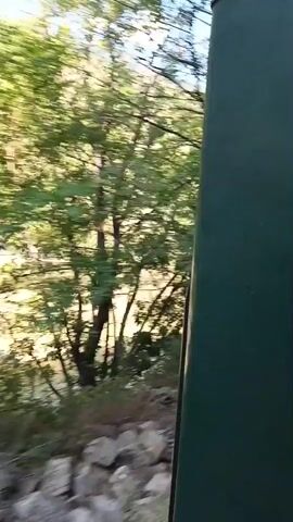 This media file appears to be a video recording from the perspective of someone traveling through a lush, green mountainous landscape. The scene is dominated by dense foliage, with trees and bushes lining the path. In the distance, hills and mountains are visible, suggesting a rural or natural setting. The sky is clear and blue, indicating a sunny day with good weather. 

The viewpoint suggests movement, possibly from a vehicle like a train or car, as the scenery blurs by. A dark green structure, possibly part of the vehicle or a roadside feature, is visible on the right side of the frame throughout the recording. The overall impression is one of a scenic journey through a natural environment, likely in Bulgaria, given the provided location context. There is no visible text in the media. The time of day appears to be daytime, given the bright sunlight. The mood evoked is one of peaceful travel and appreciation of nature.