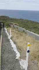 Group walks coastal cliff road in Mexican seaside community