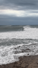 Surfers brave large waves in rough conditions at Bulli