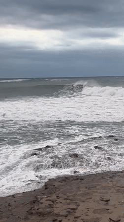 Surfers brave large waves in rough conditions at Bulli