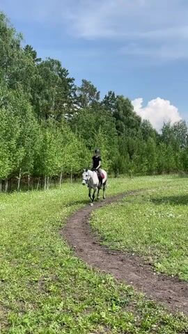 The video shows a person riding a gray horse on a dirt path through a grassy field. The rider is wearing a helmet and a black t-shirt, and the horse has a saddle and bridle. Trees line the left side of the path, and the sky is blue with some clouds. The horse is moving at a trot. Another person is visible in the distance to the left, appearing to hold a lead rope. The camera follows the rider and horse from behind as they move away from the viewer and into the trees.