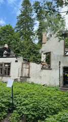 Wildlife, flora, and ruins documented in Tokkari-Lend, Russia