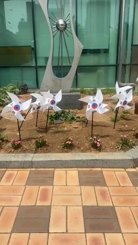 The video shows a row of pinwheels with Korean flags on them, planted in a garden bed in front of a modern building with glass windows. There is a sculpture behind the pinwheels, and a paved walkway in the foreground. The pinwheels are white with red and blue centers, and have the Taegeuk symbol of the Korean flag on them. They are arranged in a line, and the camera is focused on them. The lighting is bright, suggesting it is daytime. There are a few small pink flowers in the garden bed.