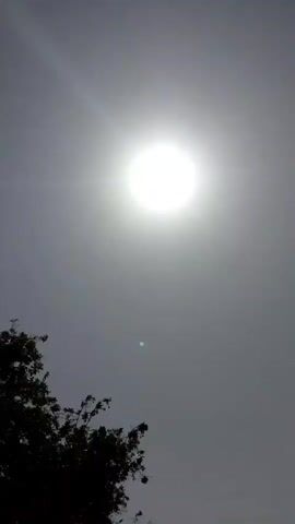 The video begins with a shot of the sun in a gray sky, with the top of a tree visible in the lower left corner. The camera pans upwards towards the sun. The sky fills the frame for a moment before the camera tilts down to reveal the ocean. Waves are visible near the shore.