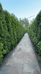 Casual stroll through Moscow park features classical architecture, modern art