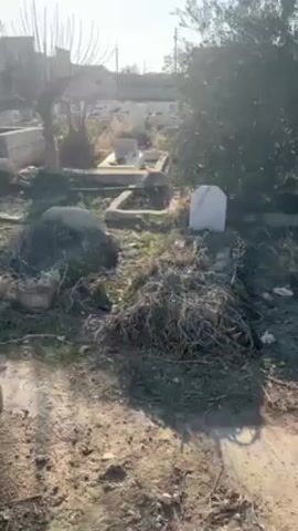 The video shows a graveyard. There are several gravestones, some of which appear white. There is some dead vegetation and weeds scattered on the ground. A tree with bare branches is visible in the foreground. Behind the graveyard, a three-story building can be seen. The sky is light blue, and the sun is shining brightly.