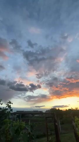 The video shows a colorful sunset sky with a mix of blue, gray, orange, and pink clouds. The sun is setting below the horizon, casting a warm glow on the clouds. Below the sky, there's a line of trees and rooftops silhouetted against the bright sky. In the foreground, there's a garden with plants and a rusty metal fence. The video is taken from a low angle, looking up at the sky.