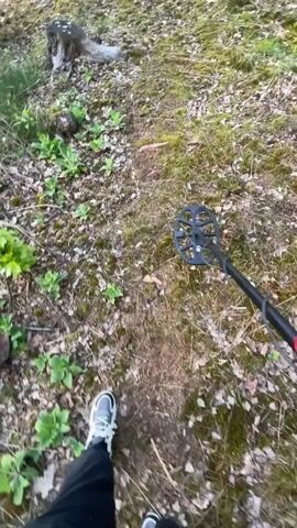 The video shows a person walking through a wooded area using a metal detector. The person is wearing black pants and grey and white sneakers. The metal detector has a black coil, a black pole, and a red control box. The ground is covered with leaves, moss, and small plants. The person moves the metal detector in a sweeping motion across the ground as they walk. There are trees and tree stumps visible in the background.