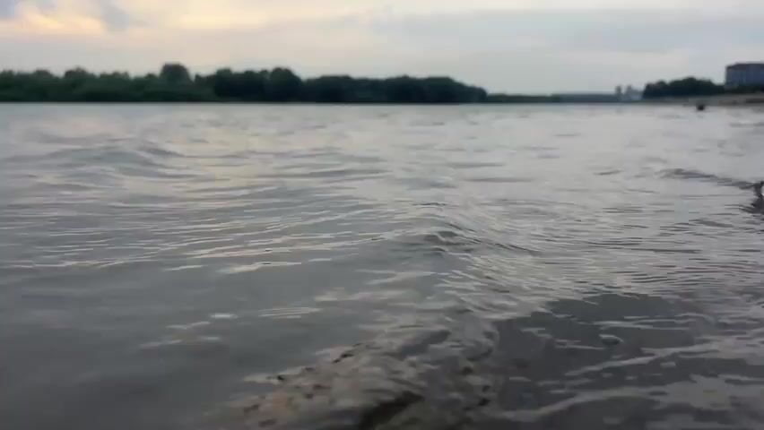 The video shows a low-angle view of gentle waves on a body of water, possibly a river or lake. The water surface is in focus, with ripples and small waves moving towards the camera. In the background, a tree line forms a dark band across the horizon, with a few distant buildings visible on the right side. The sky above is overcast with hints of a pale sunset. There are no people or explicit objects clearly visible in the frame, though a dark shape that might be a person's leg is visible at the far left edge of the frame in the first few seconds of the video. The overall atmosphere is calm and serene.