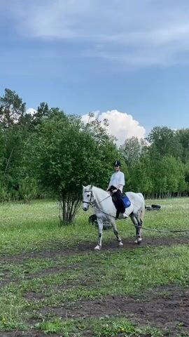 A young person wearing a white t-shirt, black pants, and a black helmet rides a white horse with grey markings. The horse is wearing a blue saddle pad and a bridle. The horse is walking on a dirt path through a grassy field. In the background, there are trees and a blue sky with white clouds. There are also some black tires visible in the background. The horse is attached to something by a rope or strap that trails behind it. The scene appears to be an outdoor equestrian training area.