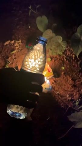 A hand releases a partially crumpled plastic water bottle that reflects light over a fire burning on the ground. The fire is consuming a bag of "GOLDEN MUNCH" cookies and other trash. The ground is reddish-brown dirt with some leafy vegetation nearby. The video appears to have been shot outdoors at night.