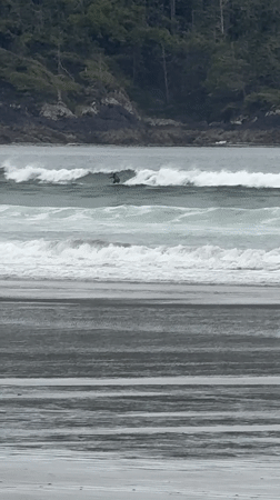 Surfers and beachgoers enjoy overcast evening at Tofino beach