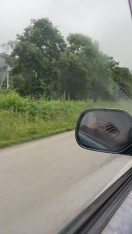 The video shows a view from inside a car, looking out the passenger side window. A side-view mirror reflects a person holding a smartphone, presumably taking the video. The car is moving along a paved road, with a grassy shoulder and dense green trees lining the left side of the road. The sky appears overcast and hazy. The overall scene depicts a journey through a rural, tree-lined area.