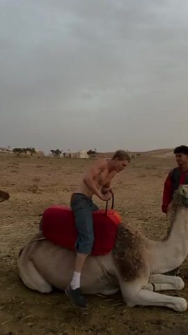 A young man with blond hair, wearing a denim jacket and blue jeans, sits on a camel that is lying down in a desert-like environment. He is holding onto handles attached to a red saddle on the camel's back. Another person, a young man with dark hair, wearing a dark jacket over a red shirt, stands to the right of the camel, holding its reins. The ground is sandy and dry with sparse vegetation. In the background, there are some low buildings and trees. The sky is overcast and appears to be dusk.