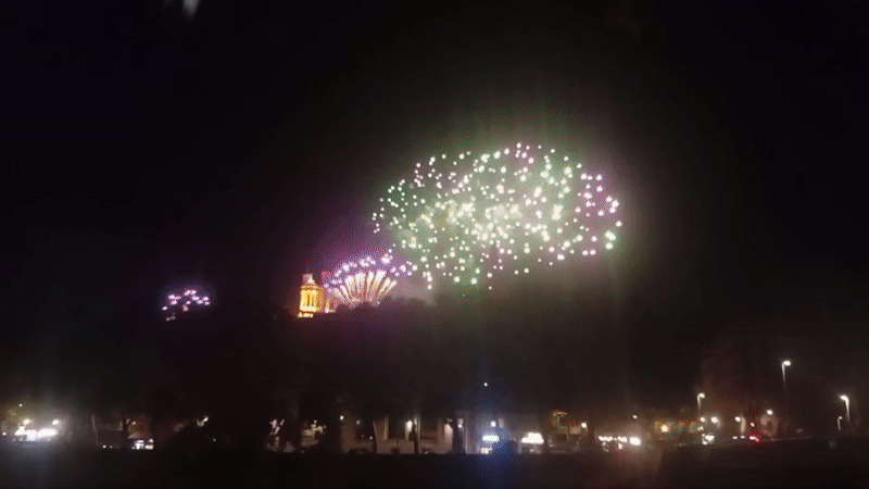 Bastille Day fireworks over Lyon's historic hillside