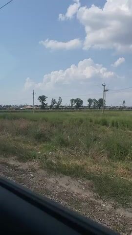 The video shows a view from inside a vehicle looking out at a rural landscape on a sunny day. A tall grey pole is visible on the left side of the frame. Beyond the vehicle's window, which is partially in view at the bottom, is a field of dry grass and some green vegetation. In the middle ground, there are more fields with some trees and utility poles scattered across the horizon. In the far distance, a cluster of buildings can be seen, suggesting a small settlement or village. The sky is blue with scattered white, puffy clouds. The camera appears to be moving slowly, as evidenced by the slight blur and the way the scenery drifts across the frame.