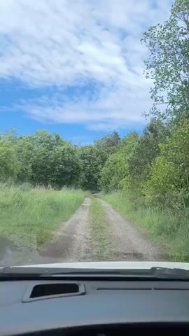 The video shows a first-person perspective of driving on a gravel road through a wooded area. The road is narrow and appears to be overgrown with grass on the sides. Dense green trees line both sides of the road, forming a canopy overhead. The sky is blue with scattered white clouds. The interior of a car is visible at the bottom of the frame, including the dashboard and windshield. The overall scene suggests a rural or natural environment.