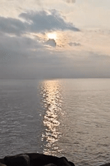 Dawn fishing and sleeping cat observed in Lhokseumawe