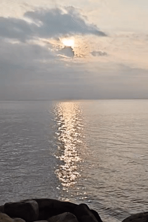 Dawn fishing and sleeping cat observed in Lhokseumawe