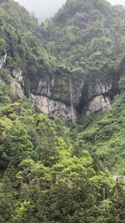 Tourist captures scenic Zhangjiajie landscapes during morning mountain visit