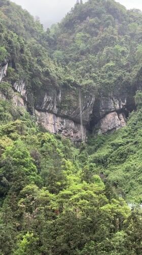 Tourist captures scenic Zhangjiajie landscapes during morning mountain visit