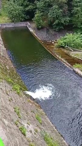 A long, narrow body of dark water flows through a concrete channel. On the left, a tall, rough stone wall slopes down towards the water. On the right, a narrower concrete embankment runs parallel to the main channel. At the top of the image, lush green trees and foliage form a dense backdrop. The water in the channel appears to be flowing towards the viewer, and a white foamy splash is visible where it enters from a lower point on the left wall. The sky is not visible. The scene is outdoors and appears to be a controlled water flow, possibly from a dam or spillway.