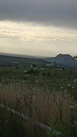 The video pans across a landscape featuring rolling hills covered in green trees and vegetation. In the foreground, there are tall grasses and clusters of white wildflowers. In the distance, a prominent, cone-shaped mountain is visible. The sky is overcast with gray clouds, suggesting a cloudy or approaching storm. There are no people or man-made structures clearly visible in the immediate foreground or midground, but faint signs of settlement might be present in the distant landscape. The overall atmosphere is natural and somewhat serene, with a focus on the natural elements of the terrain.