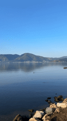 Ducks by the water in Fethiye during golden hour