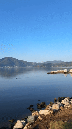 Ducks by the water in Fethiye during golden hour
