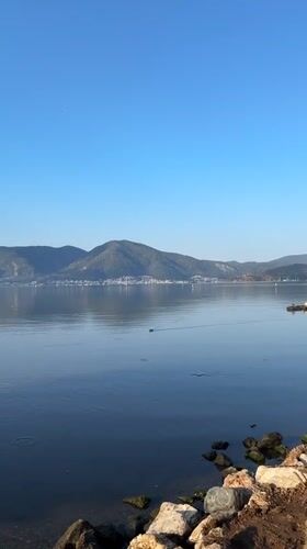 Ducks by the water in Fethiye during golden hour