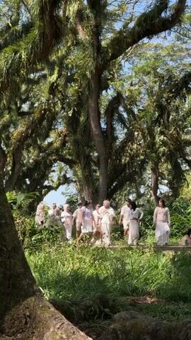 A group of approximately ten people, mostly dressed in white or light-colored clothing, are gathered in a lush, green outdoor setting. They appear to be standing on a path or clearing surrounded by dense foliage and large trees with moss or vines hanging from their branches. The lighting suggests it is daytime, with sunlight filtering through the trees. Some individuals are looking towards the camera, while others are interacting with each other. The overall atmosphere seems calm and natural.