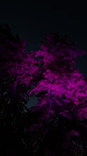 Evening scenes captured across Saratov featuring purple lights and landmarks