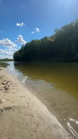 A scenic view of a river on a sunny day. The river is a murky yellow-green and appears calm with gentle ripples. The left bank is a sandy beach with a small wave lapping at the shore. The right bank is lined with a dense forest of green trees. The sky above is blue with scattered white clouds. In the distance, on the sandy bank, there are a few people. One person stands in the middle ground, facing away from the camera. To the right, another person walks with a stroller or bicycle. The overall scene is peaceful and natural.