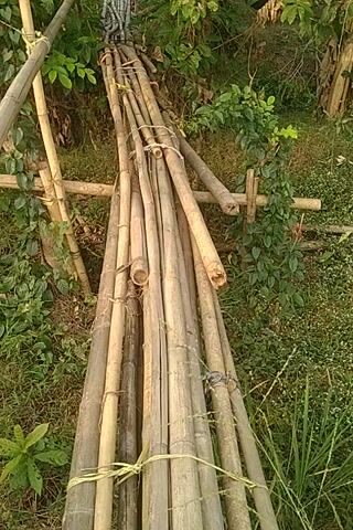 A bundle of bamboo poles lies on the ground, tied together with rope. The bamboo is dry and weathered, and some of the poles are cracked or broken. The poles are arranged in a fan shape, with one end of the bundle wider than the other. The ground is covered in dry leaves and grass, and there are some green bushes and trees in the background. The scene appears to be outdoors, in a natural setting. The lighting suggests it may be daytime, possibly late afternoon or early morning, given the shadows. There are no people visible in the video.