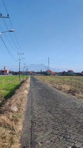 The video shows a paved road in a rural or suburban area. The road is made of cobblestone or paver bricks and appears to be slightly weathered. On the left side of the road, there is a grassy area with some dry vegetation. A utility pole with wires runs along this side. On the right side of the road, there is a field of dry grass or stubble, suggesting it may have been recently harvested or is in a dry season. In the distance, there are several buildings with red roofs, as well as tall electricity pylons. The sky is clear and blue, indicating a sunny day. The camera is moving forward, as if filming from a person walking or riding a vehicle down the road. There are no people or animals visible in the frame.