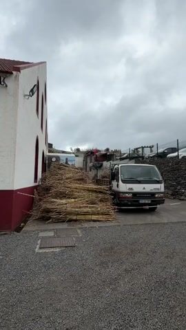 A static shot shows a large pile of cut sugar cane next to a white building with red trim and a white Mitsubishi Canter truck on a gravel surface. The sugar cane is bundled in stacks and appears yellow-brown in color. The building has arched windows and a security light. A painted advertisement for "ISW" is visible behind the sugar cane pile. The truck has a license plate visible as "72-22-TF." In the background are other vehicles and a wall, partially covered by trees. The sky is overcast.