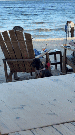 Spring afternoon beach activity documented in Varna, Bulgaria