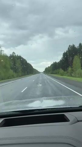 The view from inside a car driving on a wet, gray, treelined highway is shown in the video. The car dashboard is visible and displays a speed of 140 km/h with the autopilot function engaged. Raindrops streak across the windshield. The sky is overcast.