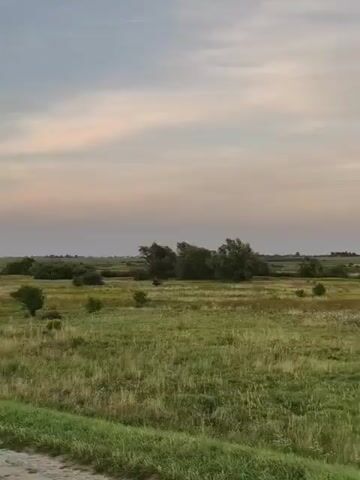 A wide shot of a grassy plain under a pale, cloudy sky. There are a few scattered trees and bushes in the distance. The sky is a mix of grey and pale pink, suggesting it is either dawn or dusk. The grass is green and appears to be tall in some areas.