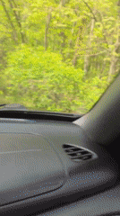 Scenic forest drive documented near Bistritsa, Bulgaria