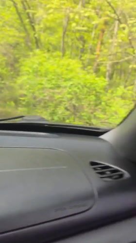 Scenic forest drive documented near Bistritsa, Bulgaria