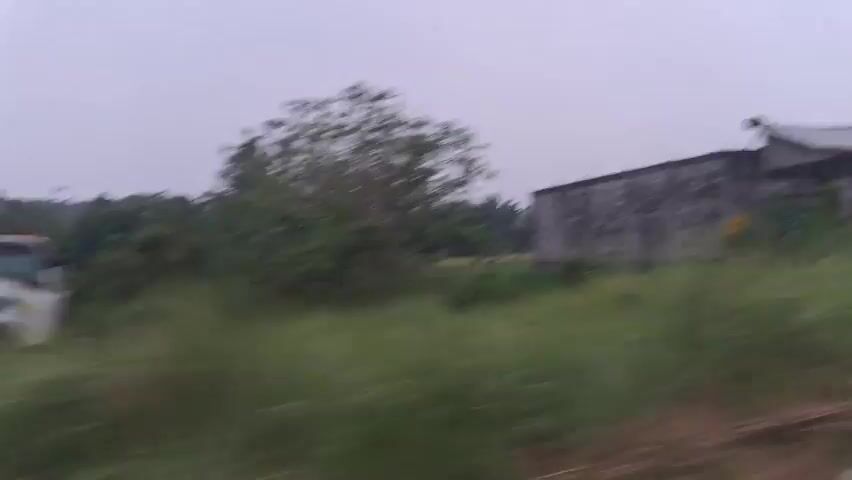 A blurry video shows a side view of a landscape from a moving vehicle. The landscape consists of green fields, trees, and some buildings in the distance. The sky is overcast and appears to be light gray. The video appears to have been recorded during the daytime.
